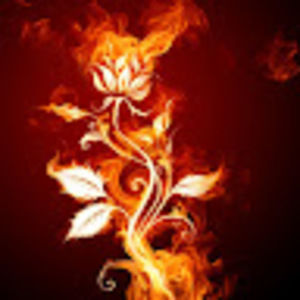 Meet your Posher, Summer